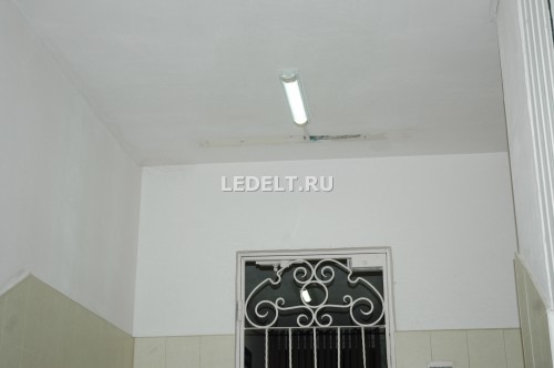     ELT-3211-10-2100